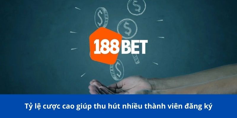 Trang chủ 25 Tỷ lệ cược cao giúp thu hút nhiều thành viên đăng ký