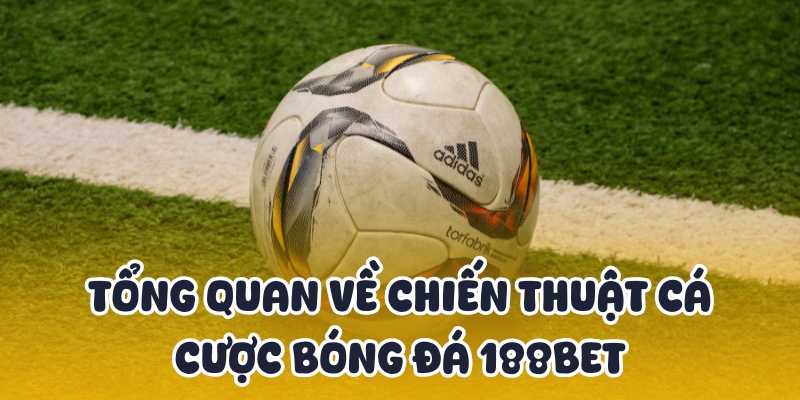 Chiến Thuật Cá Cược Bóng Đá Đỉnh Cao Theo Chuyên Gia 188BET 2 Sơ lược về chiến thuật cá cược bóng đá