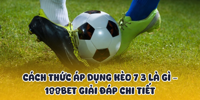 Kèo 7 3 Là Gì? Cách Chơi Kèo 7/3 188BET Cho Người Mới 3 Vận dụng kèo 7 3 như thế nào khi cược