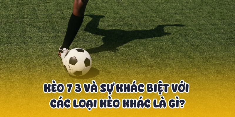 Kèo 7 3 Là Gì? Cách Chơi Kèo 7/3 188BET Cho Người Mới 4 So sánh kèo 7 3 với các loại khác