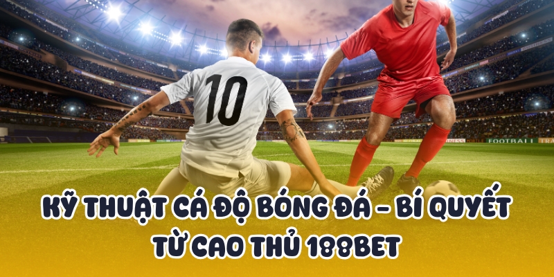 kỹ thuật cá độ bóng đá